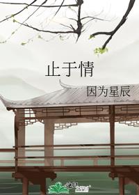 止于情
