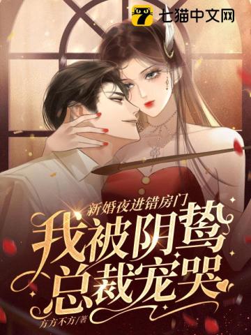 新婚夜进错房门，我被阴鸷总裁宠哭