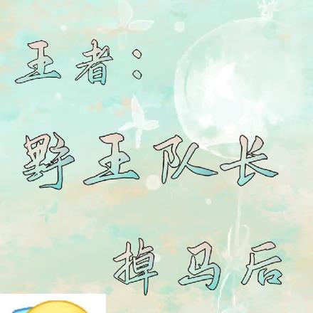 王者：野王队长掉马后