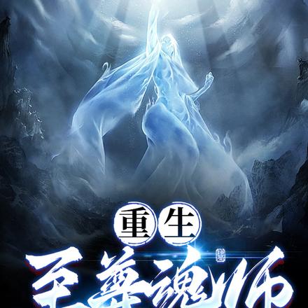重生:至尊魂师