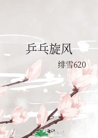 乒乓旋风